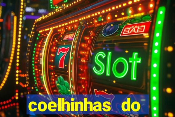 coelhinhas do brasil recife